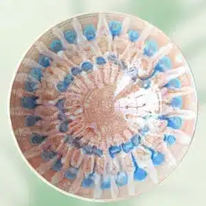 Saladier rose à effets