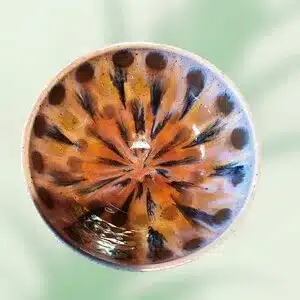 Saladier marron beige paon